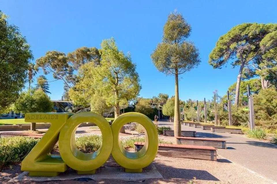 Adelaide Zoo Ticket | Australia