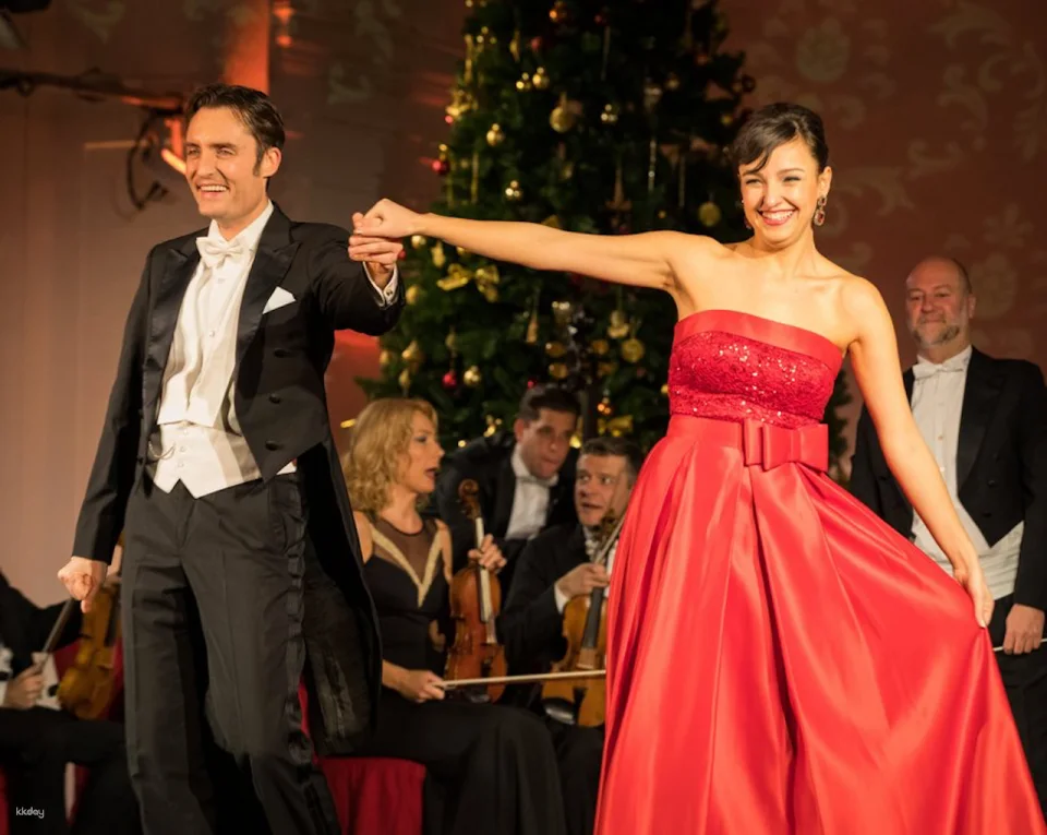 Schönbrunn Christmas Market and Palace Concert | Vienna