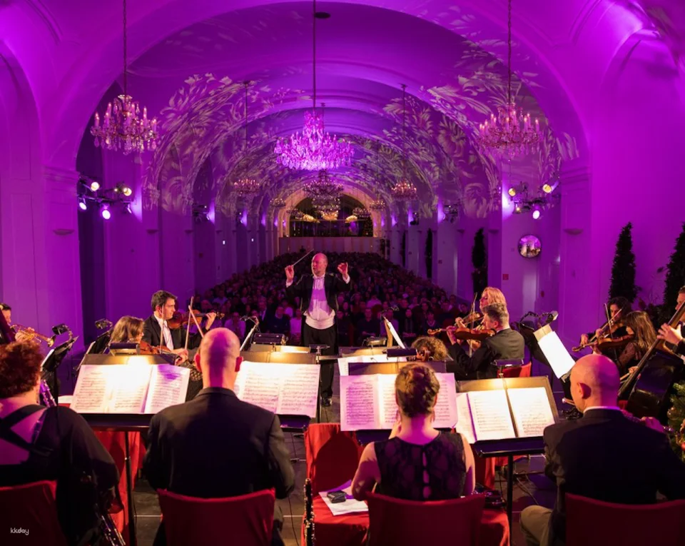Schönbrunn Christmas Market and Palace Concert | Vienna