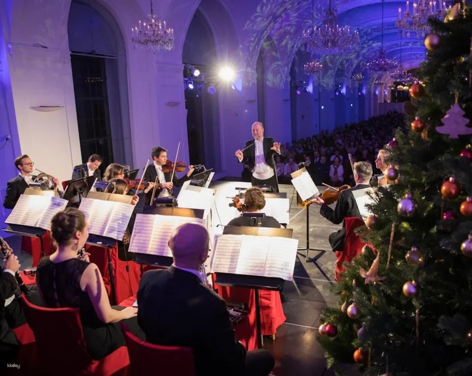 Schönbrunn Christmas Market and Palace Concert | Vienna