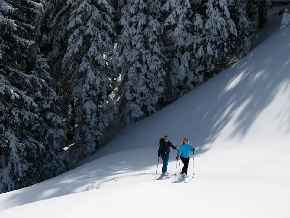 Winter Ticket Pilatus with Cable Car and Aerial Ropeway from/to Kriens | Switzerland