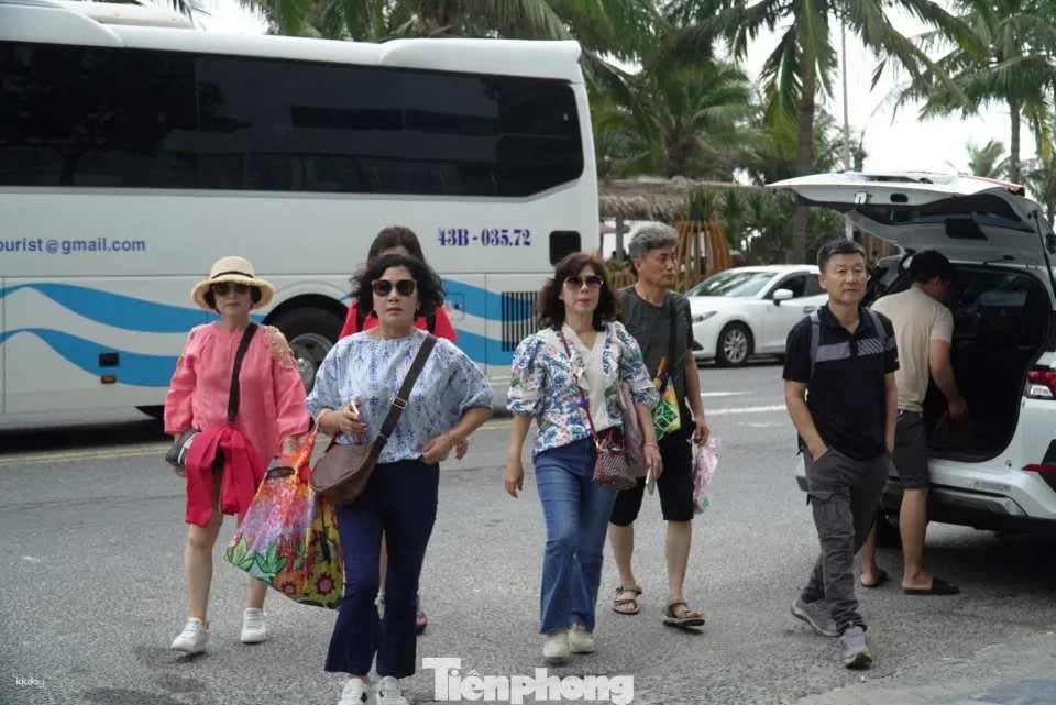Da Nang City Half-Day Shared Tour | Marble Mountains, Linh Ung Pagoda & Han Market | Chinese-Speaking Guide