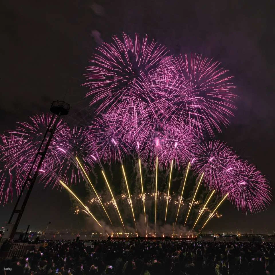 BERITA presents ISOGAI Fireworks Theater in Nagoya Port - Viewing Ticket (Aichi Prefecture, Fireworks Festival)