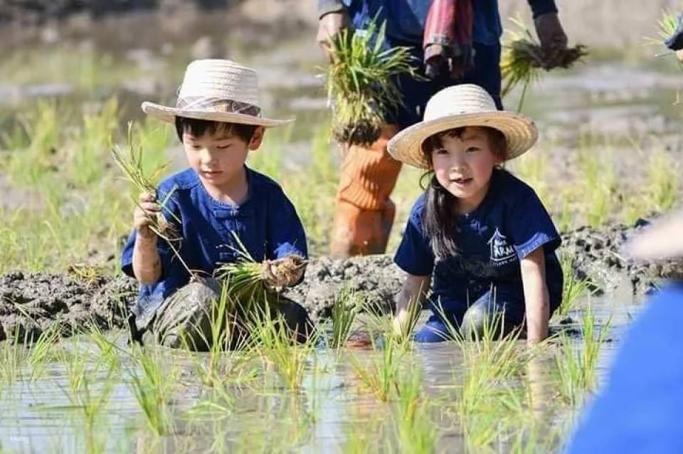 Farm Activities at Ginger Farm Chiang Mai | Thailand