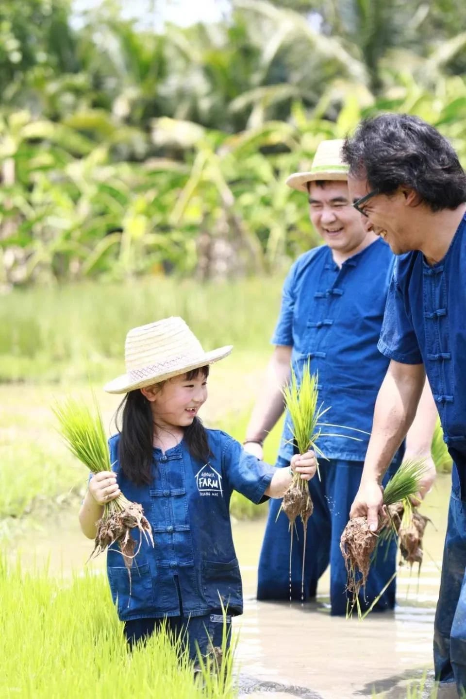 Farm Activities at Ginger Farm Chiang Mai | Thailand
