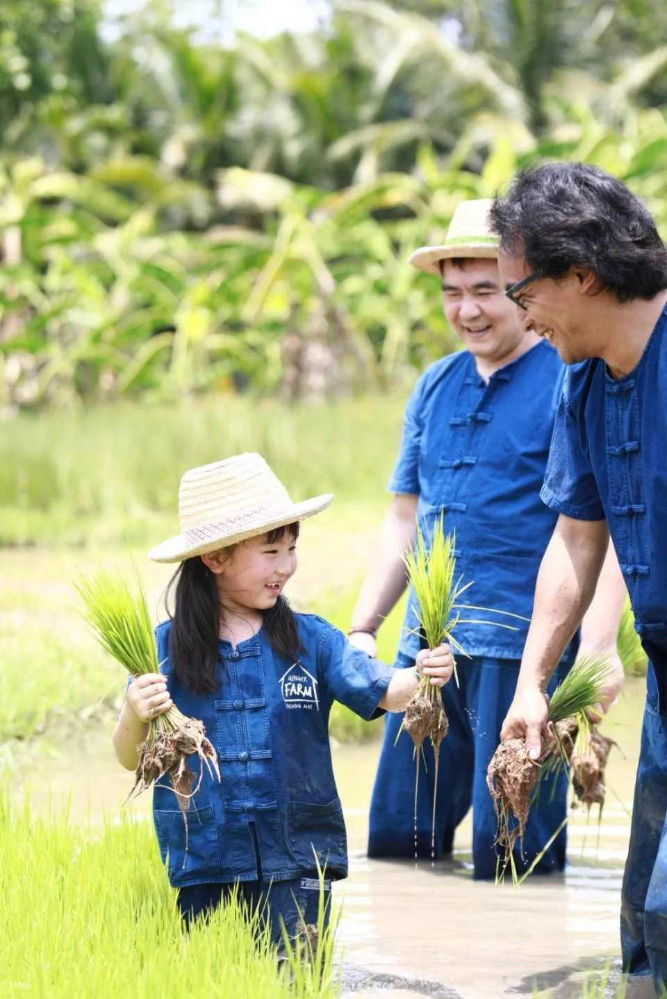 Farm Activities at Ginger Farm Chiang Mai | Thailand