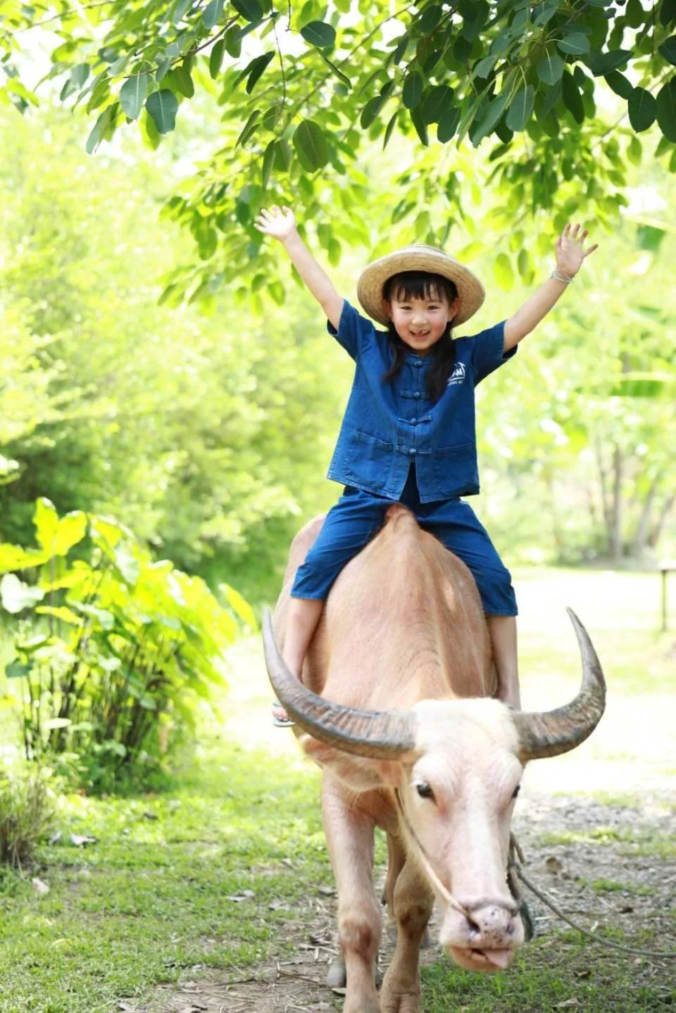 Farm Activities at Ginger Farm Chiang Mai | Thailand