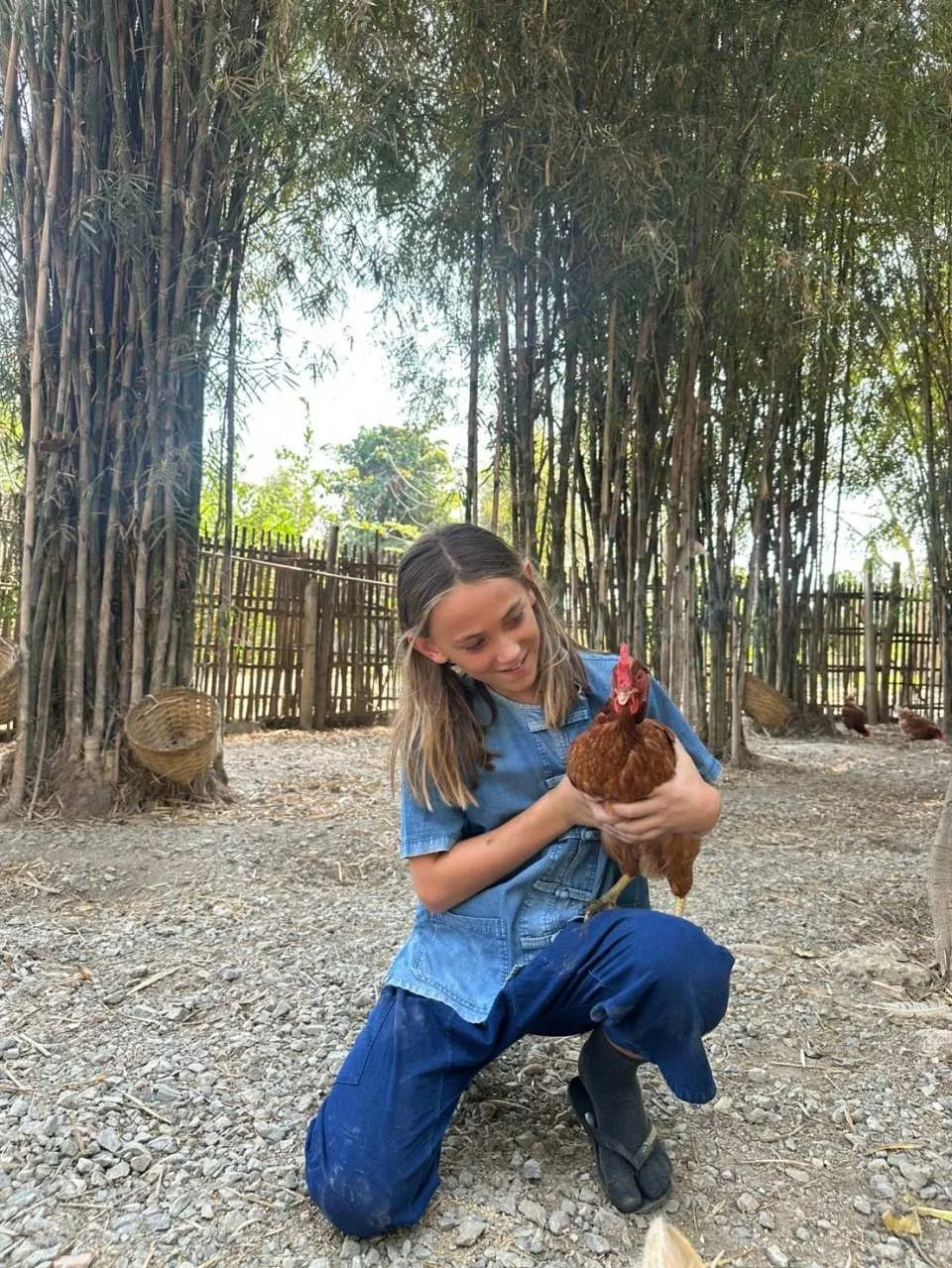 Farm Activities at Ginger Farm Chiang Mai | Thailand