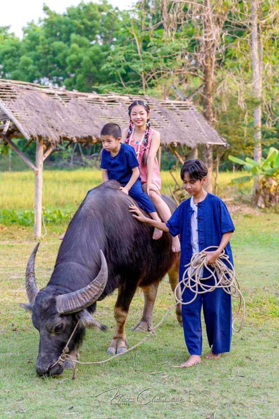 Farm Activities at Ginger Farm Chiang Mai | Thailand