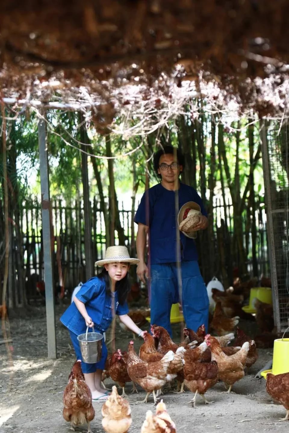 Farm Activities at Ginger Farm Chiang Mai | Thailand