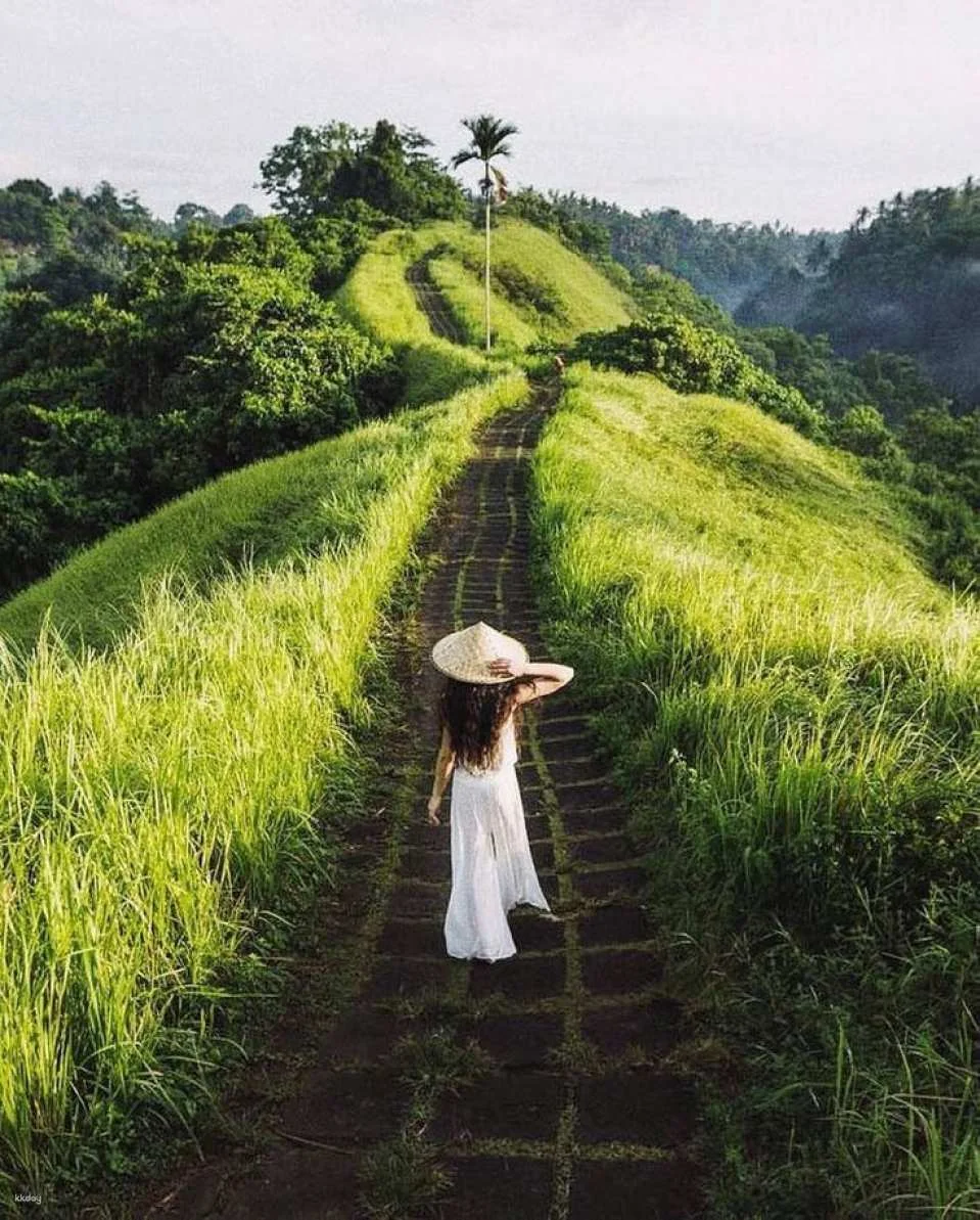 Ubud & Kintamani 2-Day Tour: Ubud Highlights + Mount Batur Jeep Sunrise