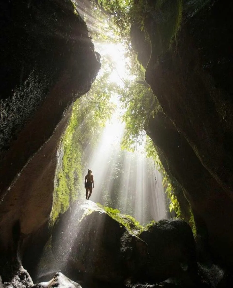 Ubud & Kintamani 2-Day Tour: Ubud Highlights + Mount Batur Jeep Sunrise