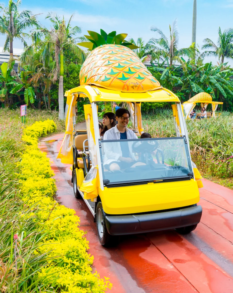Tickets to Nago Pineapple Park, Okinawa, Japan