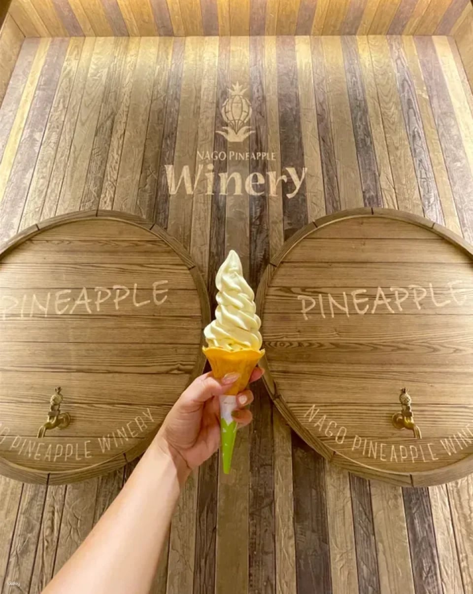 Tickets to Nago Pineapple Park, Okinawa, Japan