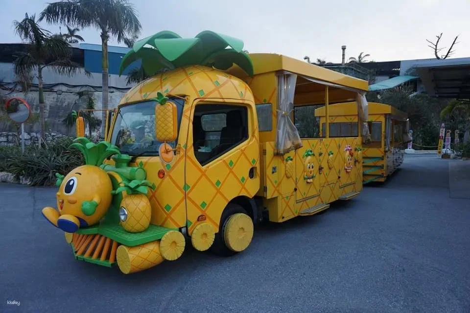 Tickets to Nago Pineapple Park, Okinawa, Japan