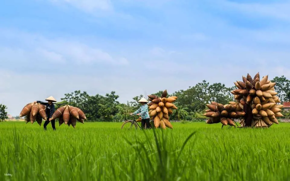From Ha Noi city - Full day visit Bat Trang pottery village and Fish trap Village