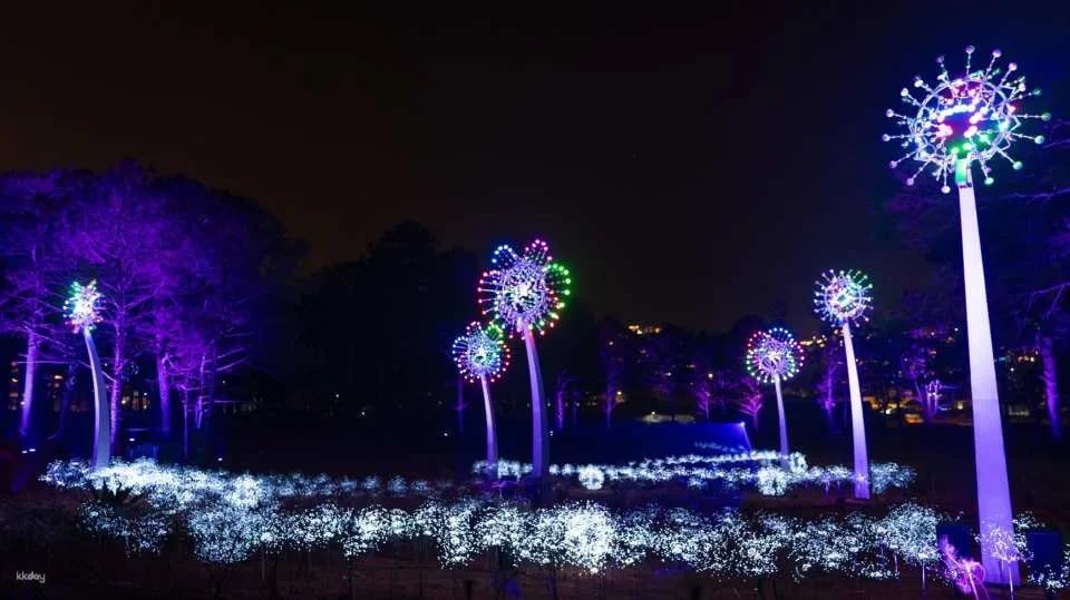 Delight Park Ticket in Dalat | Da Lat