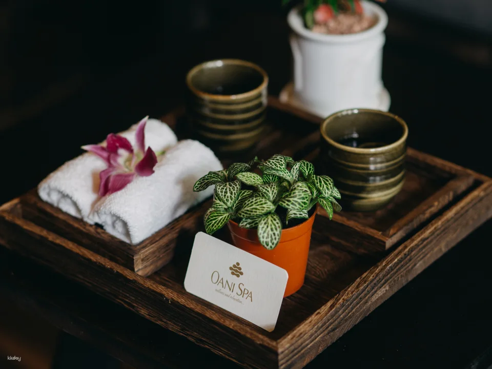 [Special Discount 10%] Da Nang Soothing Sea Salt Body Scrub Treatment - Oani Spa | Free Pick-up within 5 km from 2 people + Private room