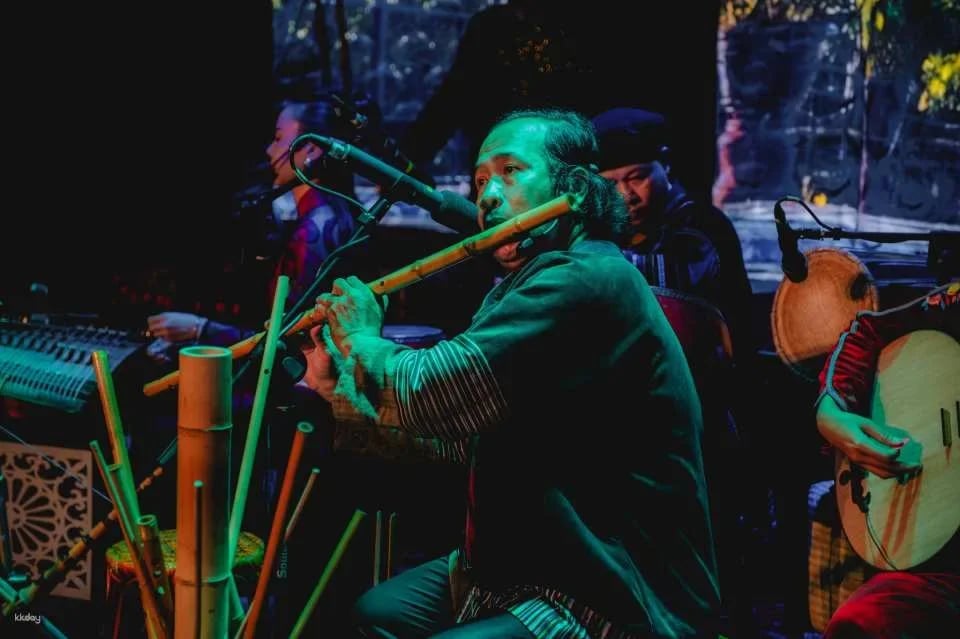 Ho Chi Minh City | Chao Show Traditional Music & Cusine Experience with Walking Tour