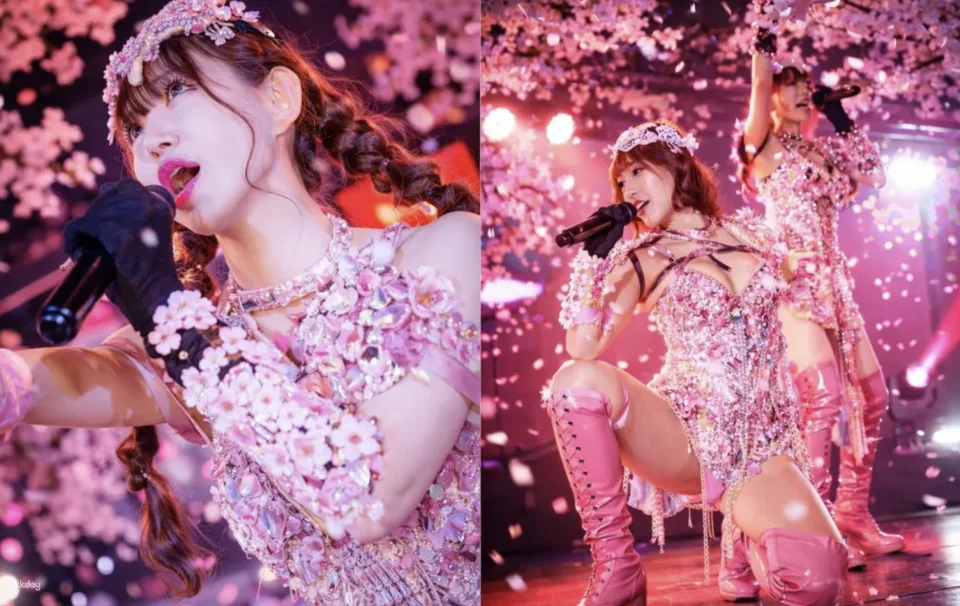 Tickets for Burlesque annex YAVAY nightlife show in Roppongi, Tokyo, Japan.