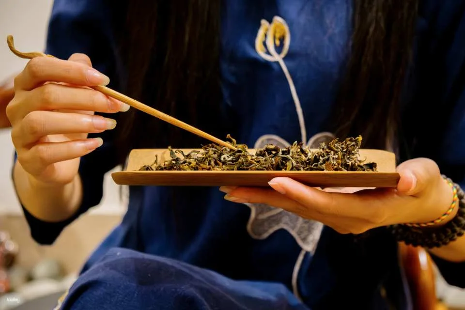 The Artisan's Brew: Coastal Farm Culture & Tea Experience in Hanoi