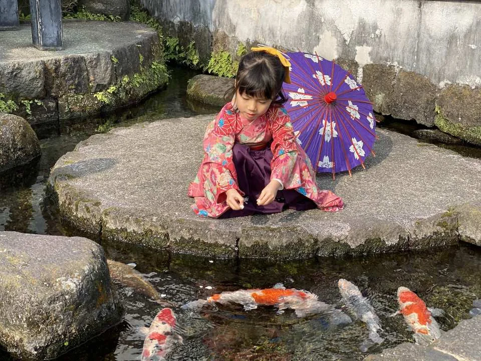 Hakama Rental | Shimabara Romantic Trip ~A High-Colored Girl Passes By~ (Shimabara City, Nagasaki Prefecture, Cultural Experience)