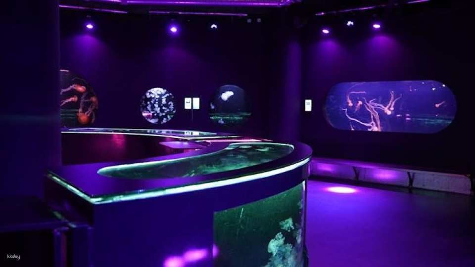 Aquarium of Paris entry ticket