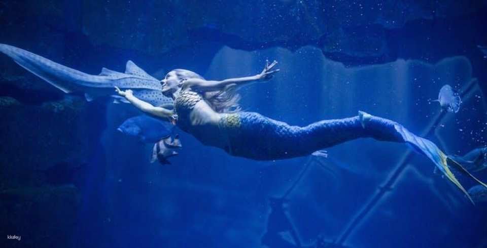Aquarium of Paris entry ticket