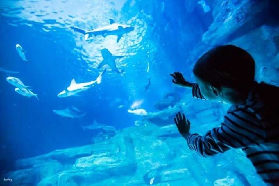 Aquarium of Paris entry ticket