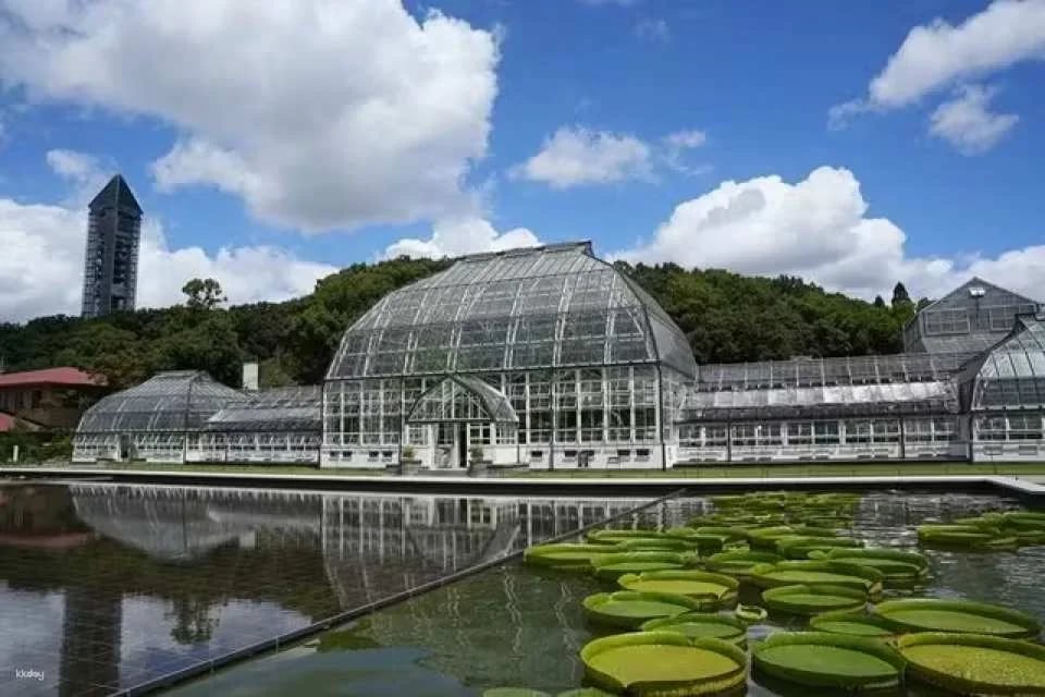 Nagoya Higashiyama Zoo and Sky Tower combo ticket or single ticket