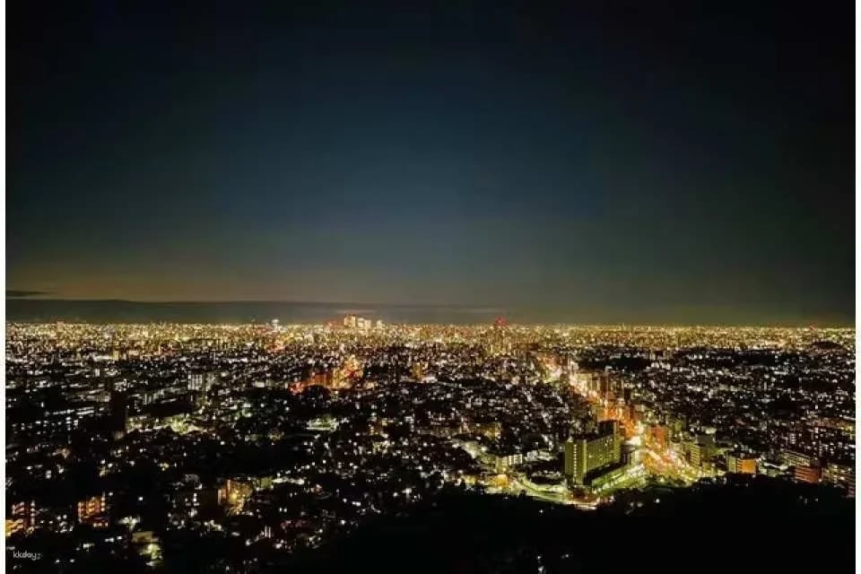 Nagoya Higashiyama Zoo and Sky Tower combo ticket or single ticket