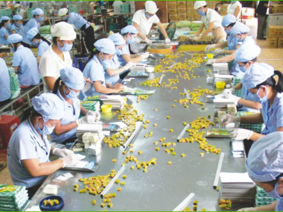 Mekong Delta One Day Trip:  Ho Chi Minh - My Tho - Ben Tre - Vinh Trang pagoda - Unicorn island - Thoi Son Island