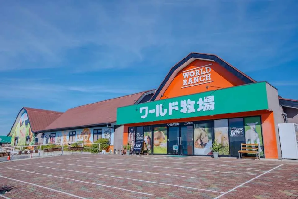 Osaka Animal Interaction Park, Japan: Enjoy playing with adorable animals, farm feeding and walking experiences
