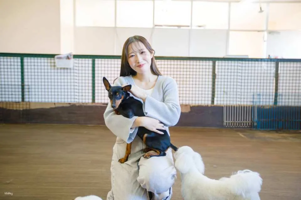 Osaka Animal Interaction Park, Japan: Enjoy playing with adorable animals, farm feeding and walking experiences