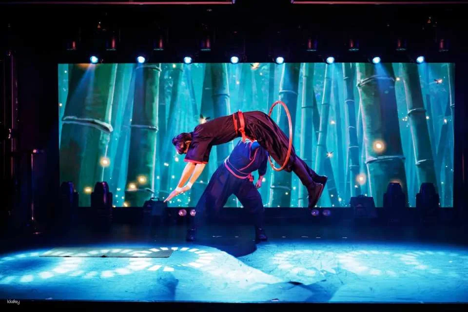 Osaka Dotonbori Nighttime Limited Performance | EBIKEN-Produced Stage Show Experience