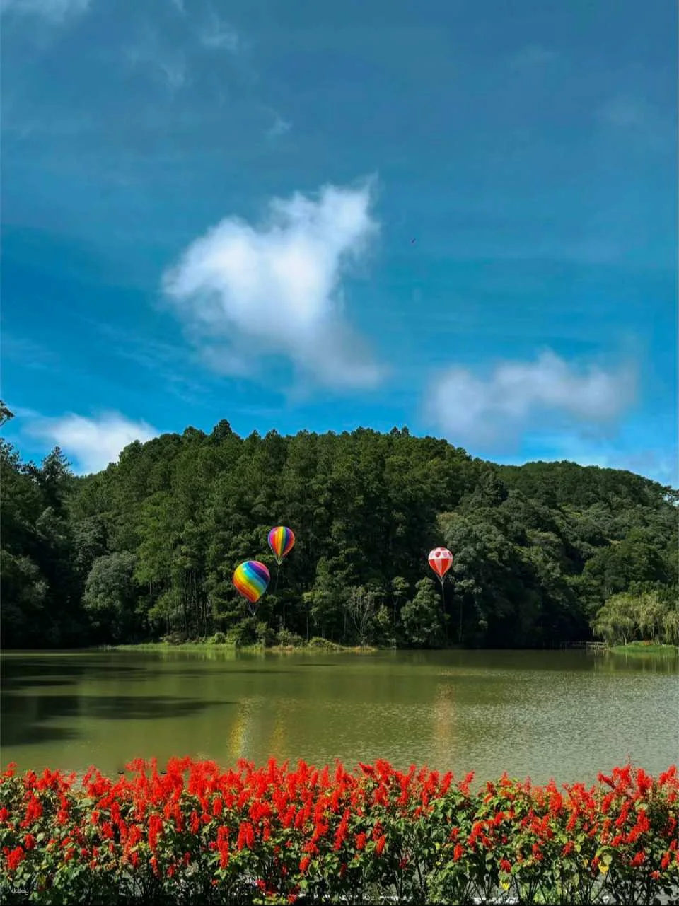 Dalat | Instagramable Tour with Hidden Gem Café With Local Guide