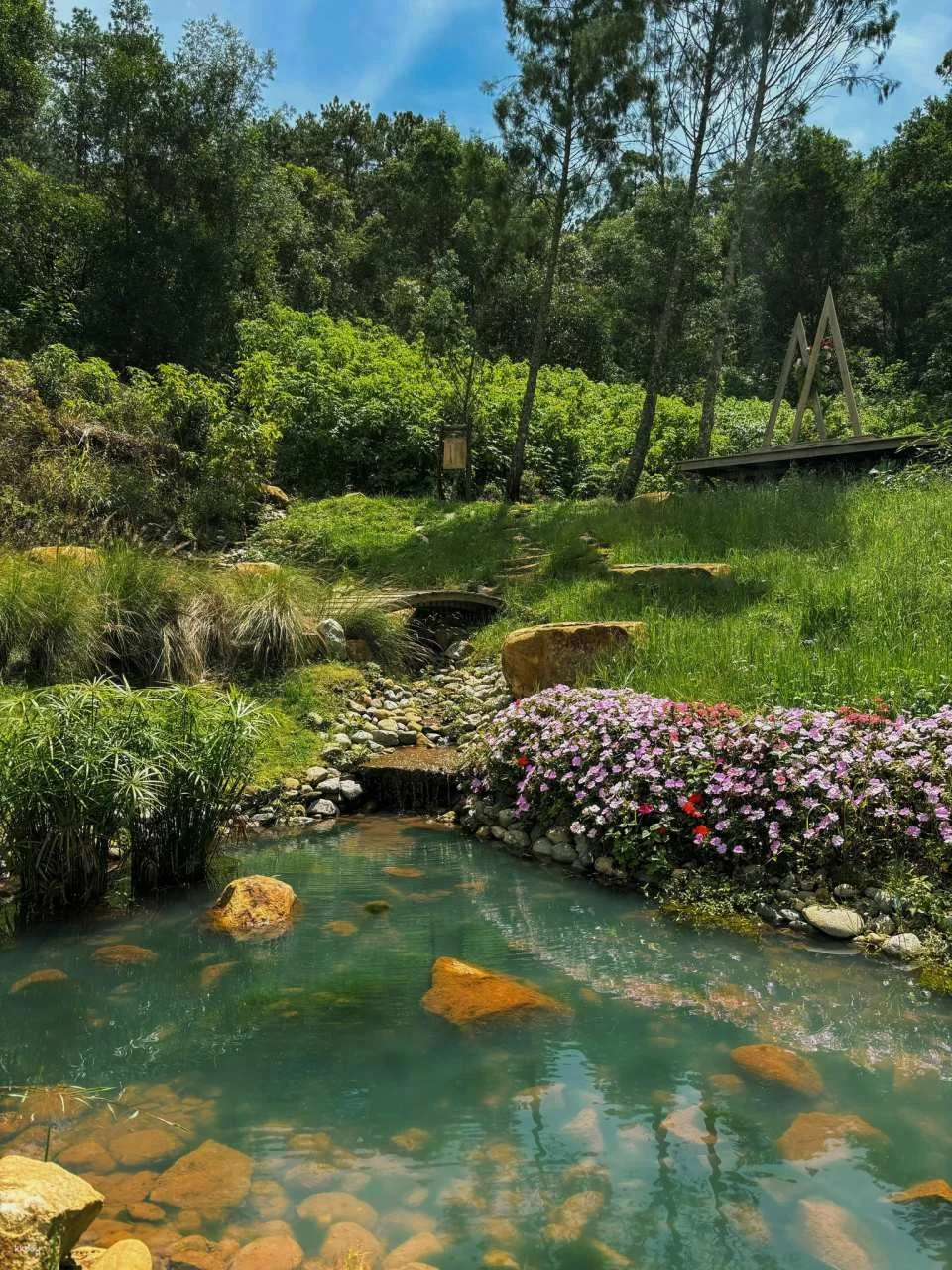 Dalat | Instagramable Tour with Hidden Gem Café With Local Guide