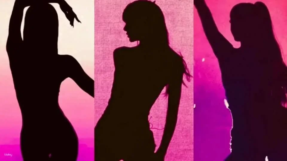 Pattaya, Thailand | 69 Adult Show Ticket (for non-Thai tourists)