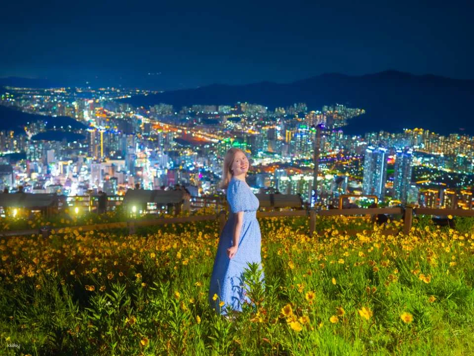 Busan Night View & Snapshot Photo Tour: Gamcheon, Songdo, Cheonmasan & Hwangnyeongsan (Hotel Drop-off)