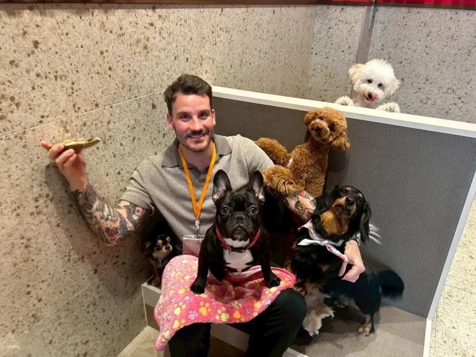 Rio Dog Cafe Interactive Experience | Shinjuku, Harajuku, Akihabara, Asakusa, Kyoto