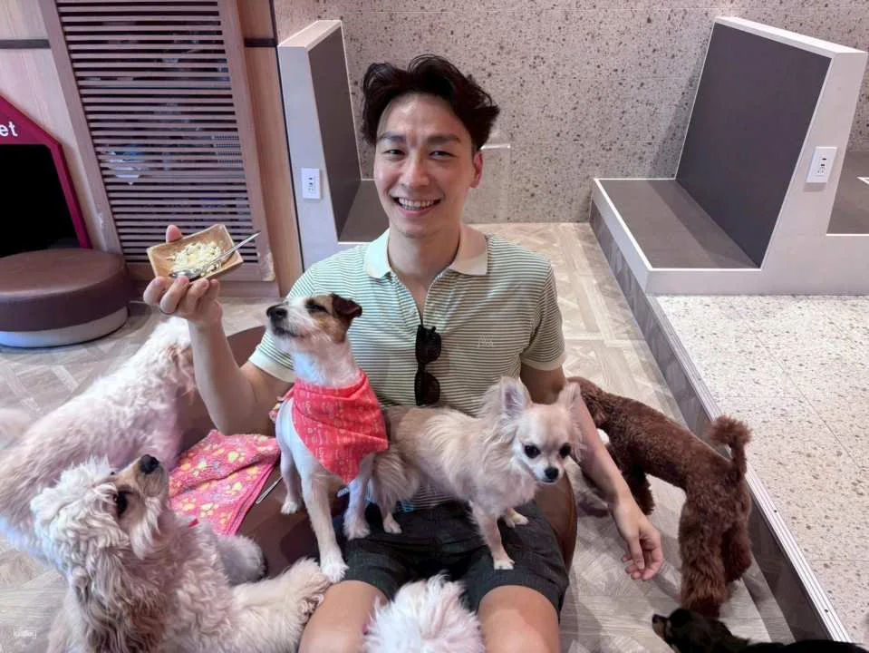 Rio Dog Cafe Interactive Experience | Shinjuku, Harajuku, Akihabara, Asakusa, Kyoto