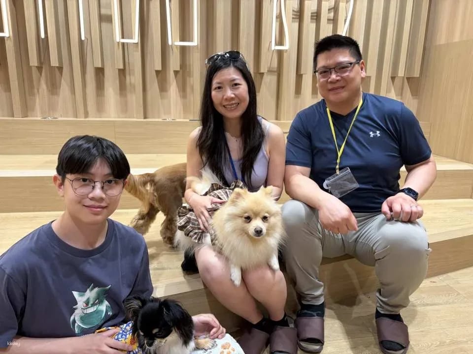 Rio Dog Cafe Interactive Experience | Shinjuku, Harajuku, Akihabara, Asakusa, Kyoto