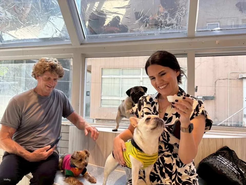 Rio Dog Cafe Interactive Experience | Shinjuku, Harajuku, Akihabara, Asakusa, Kyoto