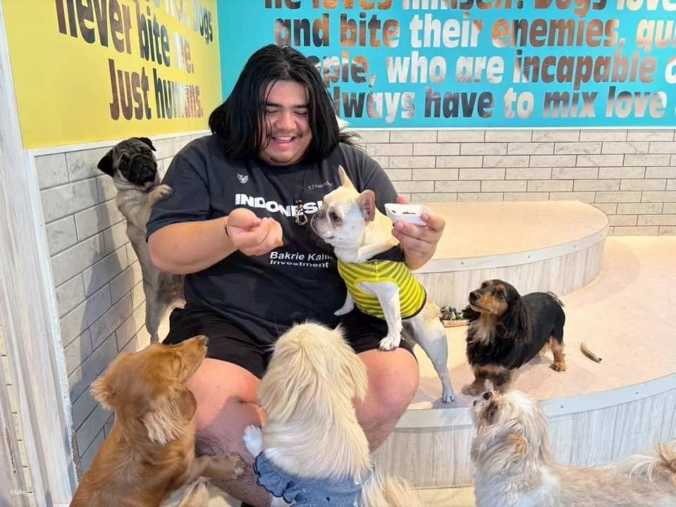 Rio Dog Cafe Interactive Experience | Shinjuku, Harajuku, Akihabara, Asakusa, Kyoto