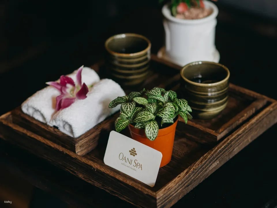 [Special Discount 10%] Da Nang Hair Shampoo & Relaxing Massage Combo at Oani Spa | Free Pick-up within 5 km from 2 people + Private room