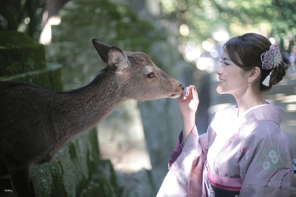 Kimono Photography Experience with Cultural Activities in Nara