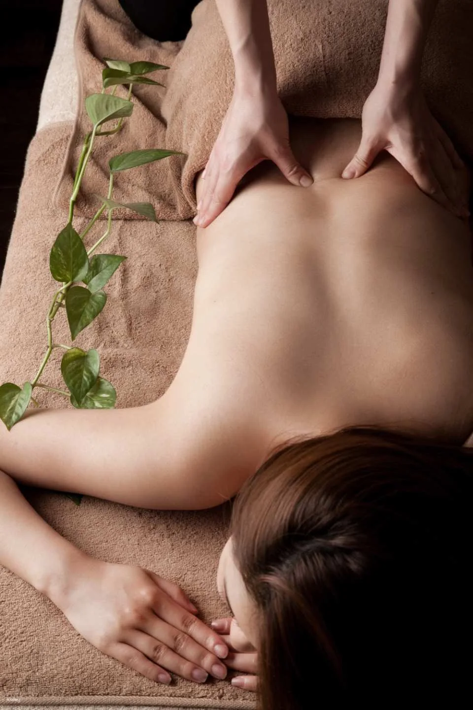 Myeongdong HERA Spa Aesthetic (Sejong Hotel Branch) | Facial & Body Care Specialist