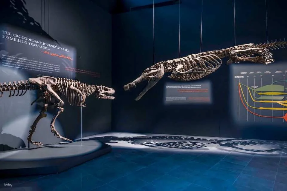 Private Dubai city tour with Crocodile Park visit