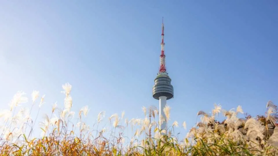 [Tickets must be picked up in Myeongdong in advance] Namsan N Seoul Tower ticket + Namsan Cable Car physical ticket combo