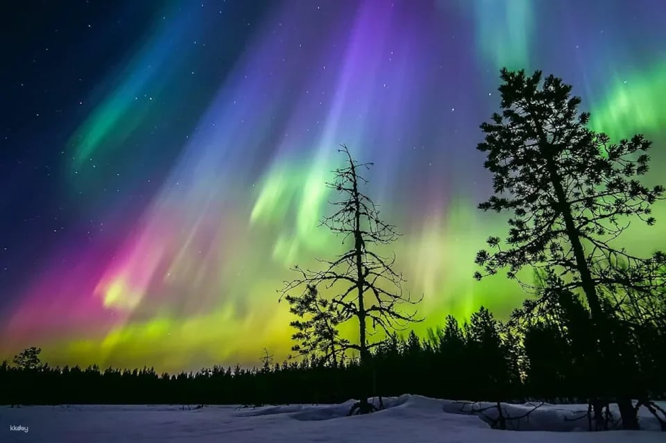 Private Arctic Forest Sauna and Jacuzzi with Northern Lights | Finland